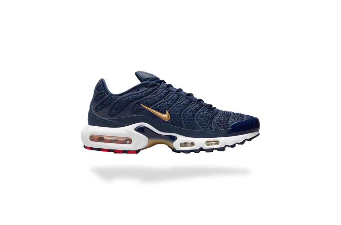 NIKE AIR MAX PLUS TN AIR MAX PLUS FFF