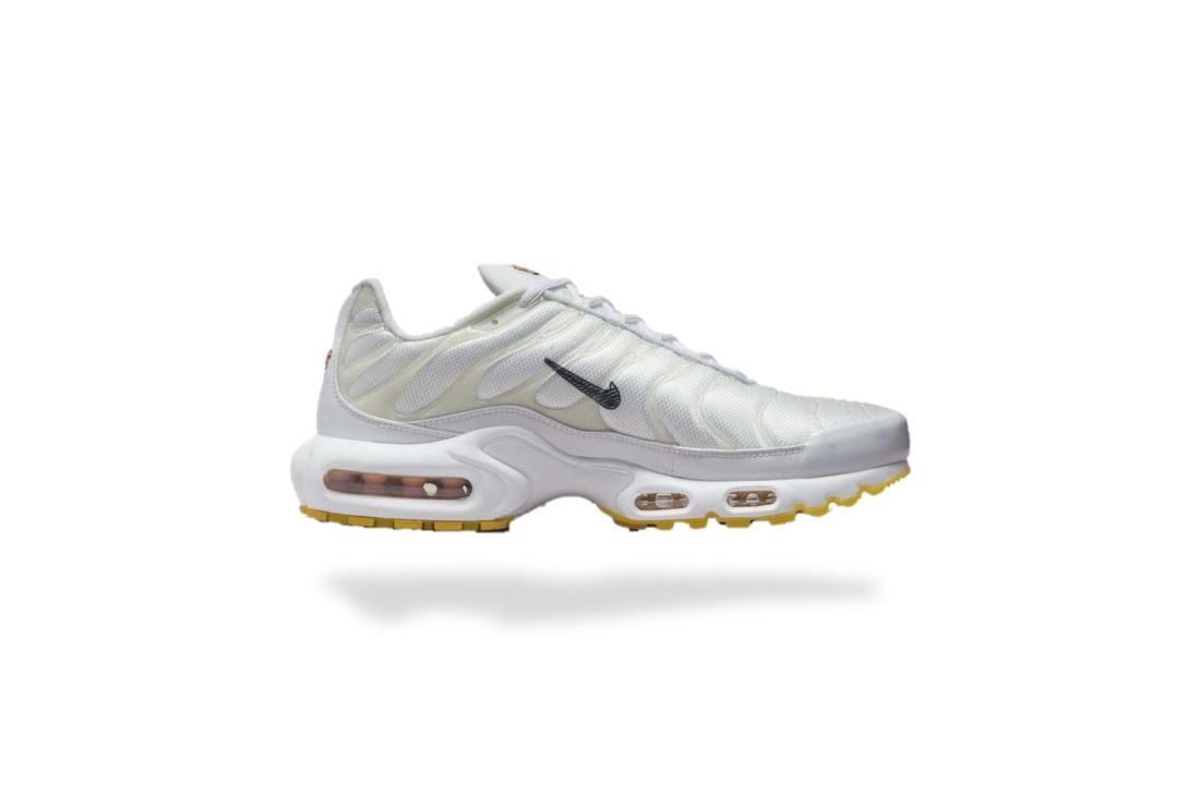 NIKE AIR MAX PLUS TN FRANCK RUDY