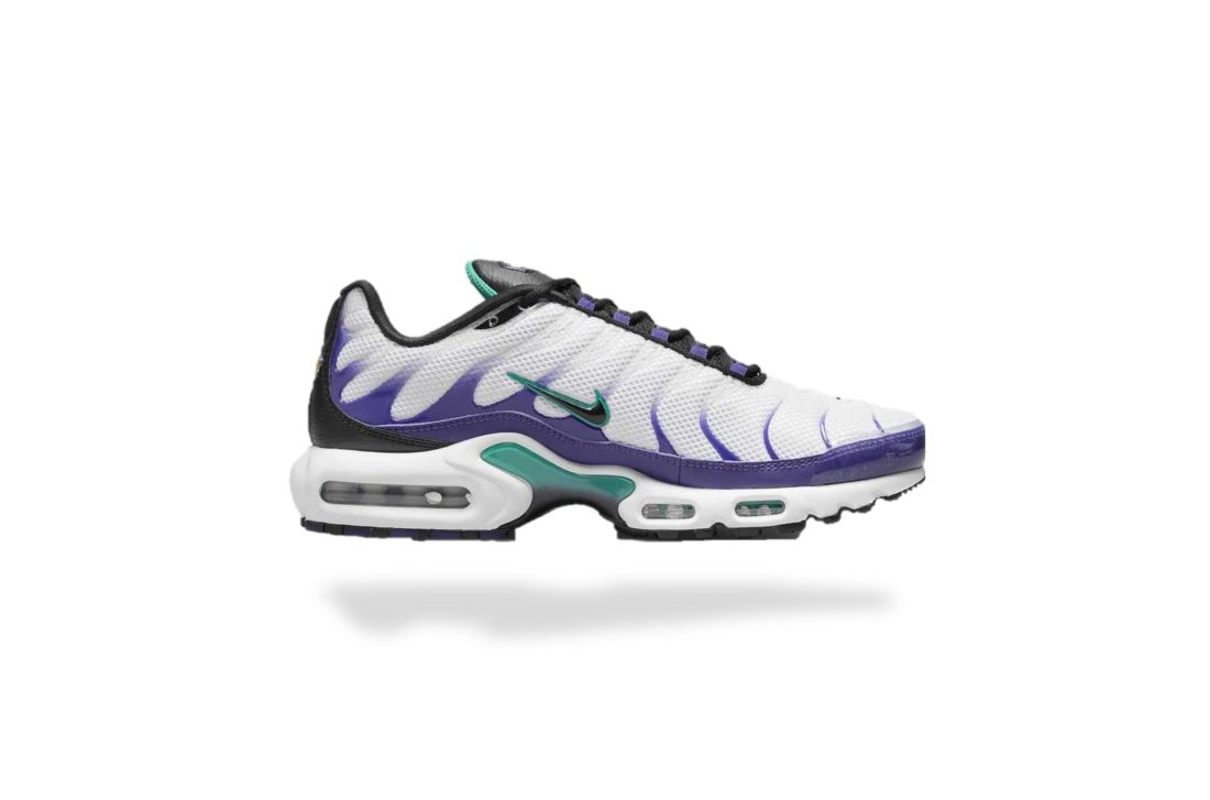 NIKE AIR MAX PLUS TN GRAPE