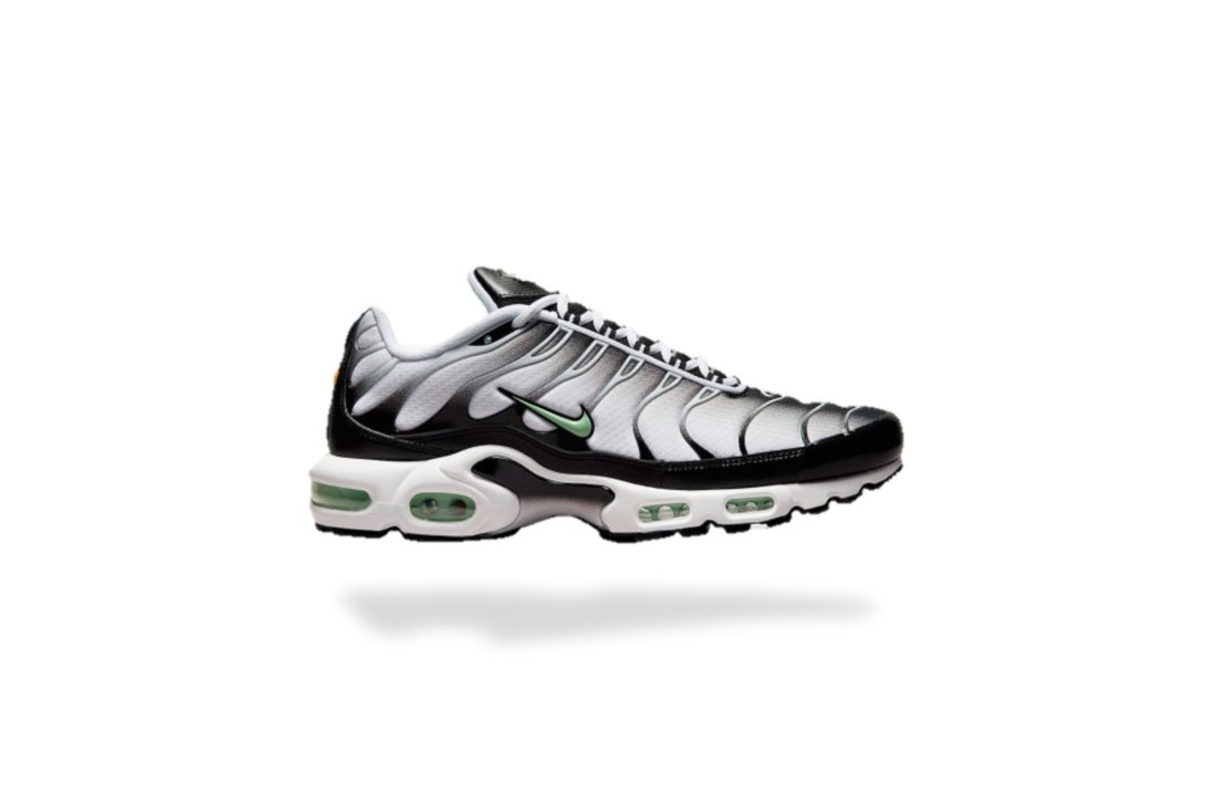 NIKE AIR MAX PLUS TN SEAFOAM